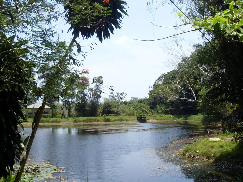 Jungle and a still pond near Bang Pae waterfall in the Khao Phra Thaeo forest