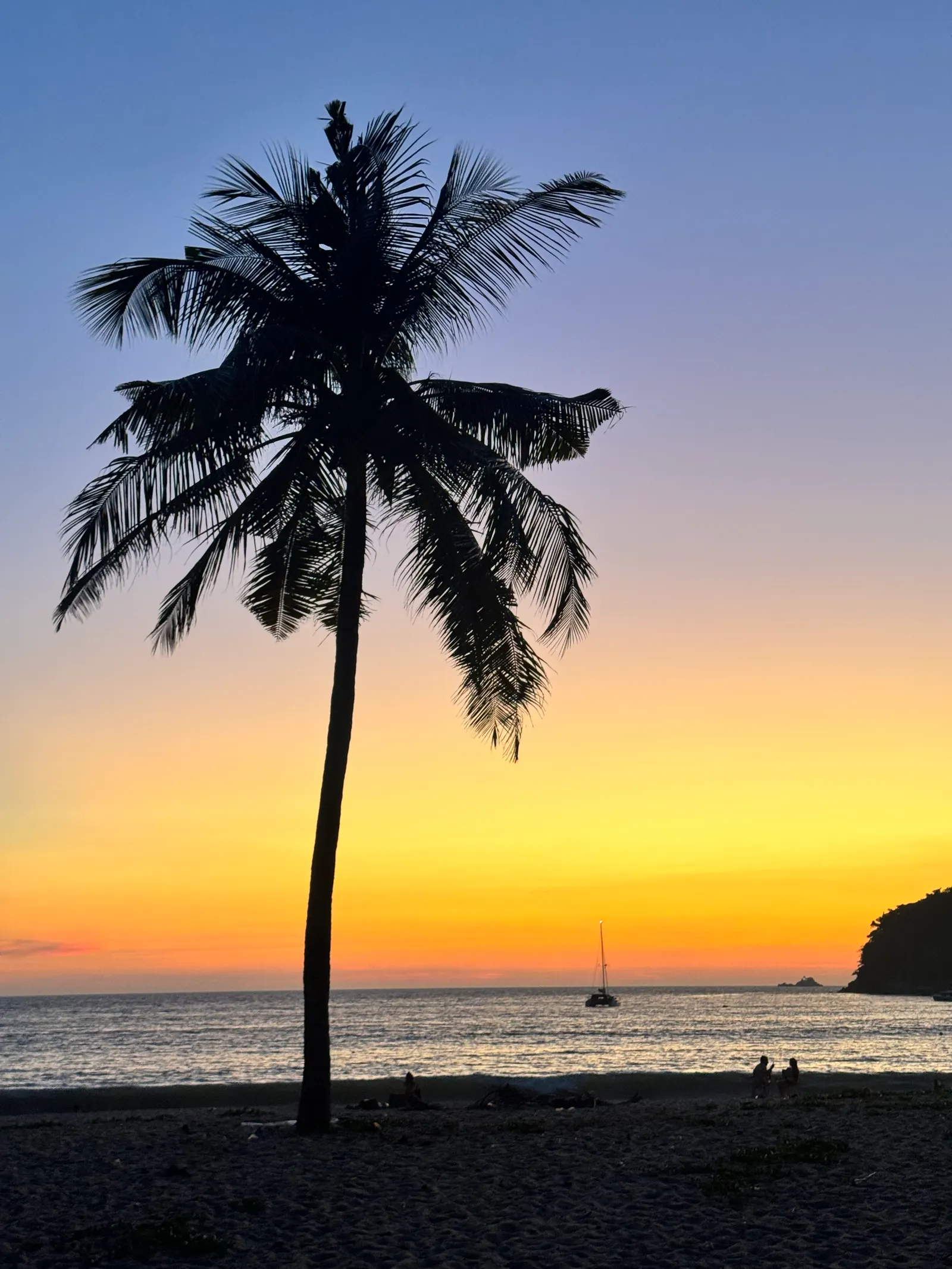 A palm silhouette against the sunset at Layan Beach
