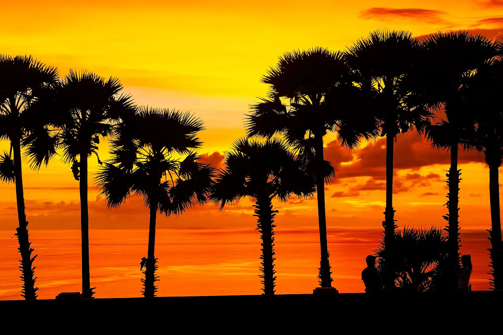 Sunset at Promthep Cape: palm silhouettes against an orange sky over the Andaman Sea