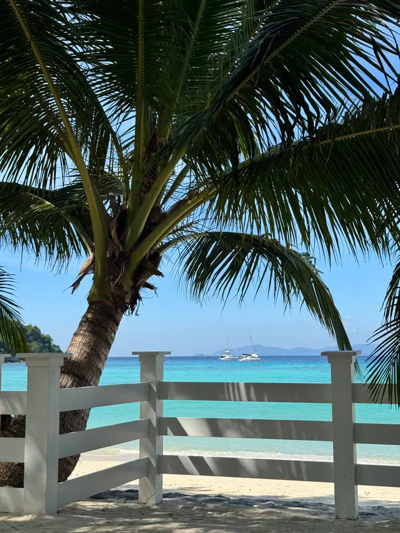 The turquoise bay of Koh Racha Yai from a terrace, a palm and anchored boats