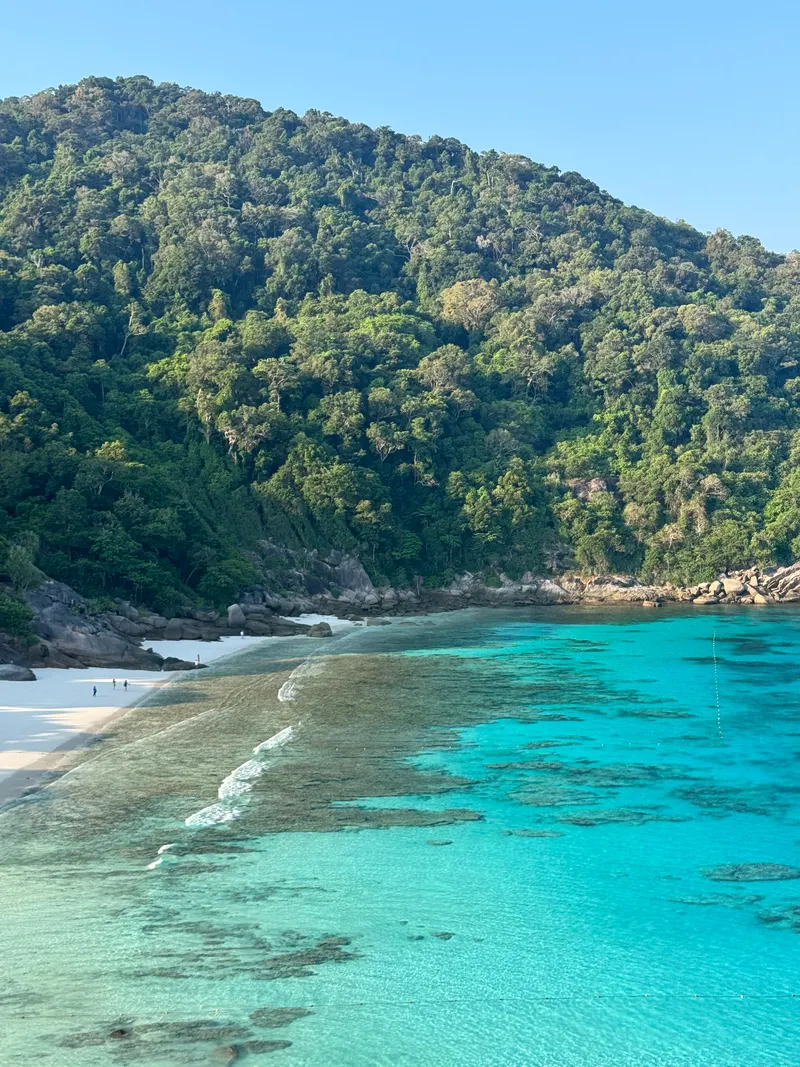A jungle headland and a turquoise cove in the Similan Islands from the viewpoint