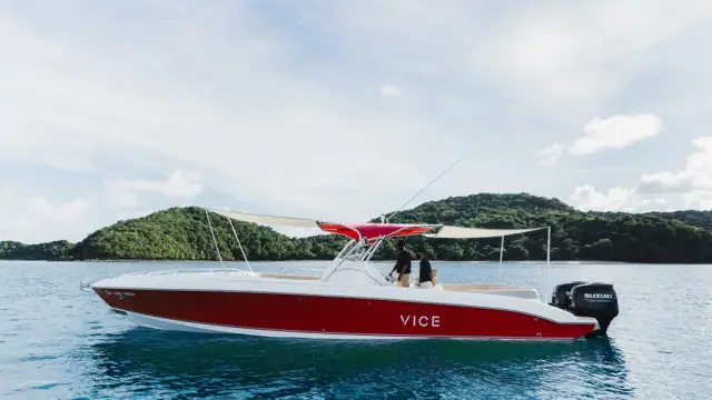 Al Dhaen 38 Vice — in a bay