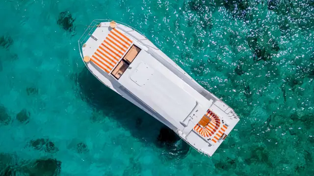 Gin 37 — view from above