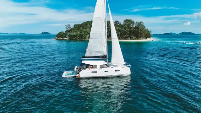 Pina Colada 40 - 1
