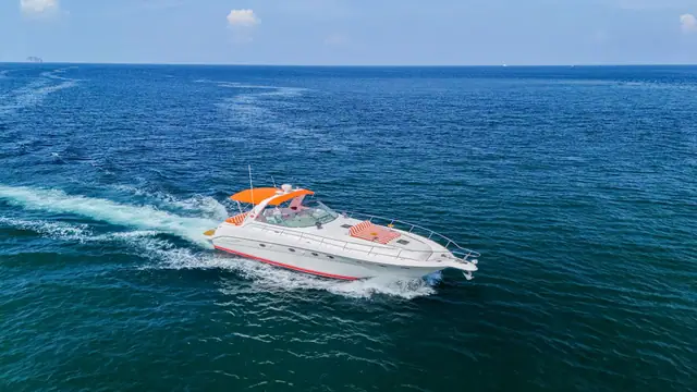 Sea Ray Sundancer 46 Vodka — under way