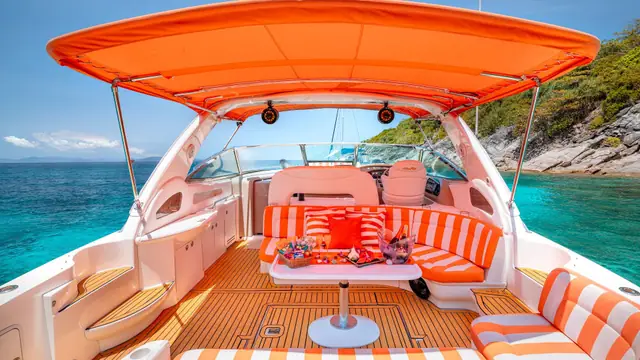 Sea Ray Sundancer 46 Vodka — cockpit